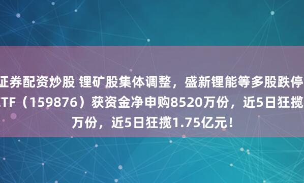 证券配资炒股 锂矿股集体调整，盛新锂能等多股跌停！有色龙头ETF（159876）获资金净申购8520万份，近5日狂揽1.75亿元！